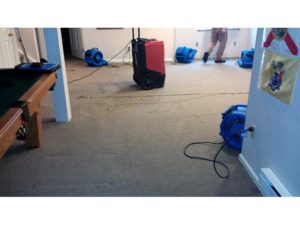 Why Choose IICRC Certified Professionals for Water Damage? Project X Restoration Denver