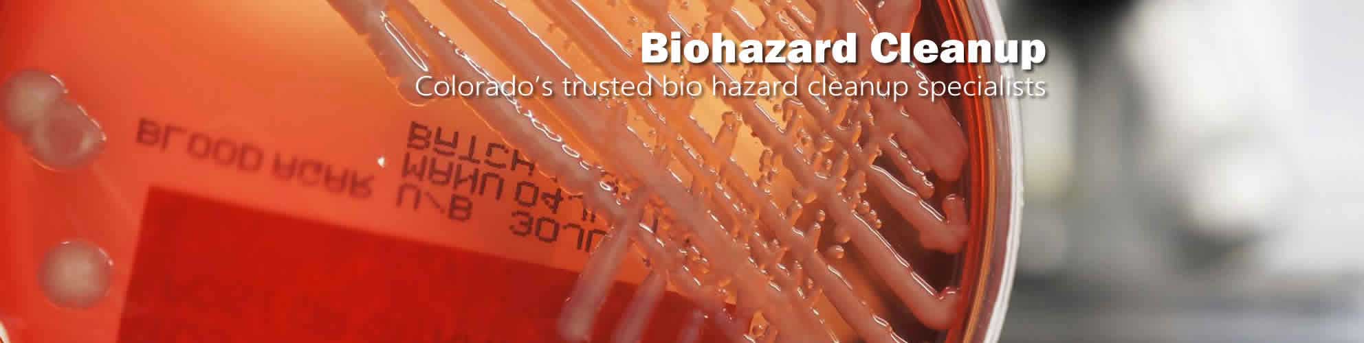bio hazard cleanup Denver