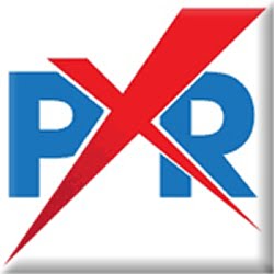 logo 8 Project X Restoration Denver