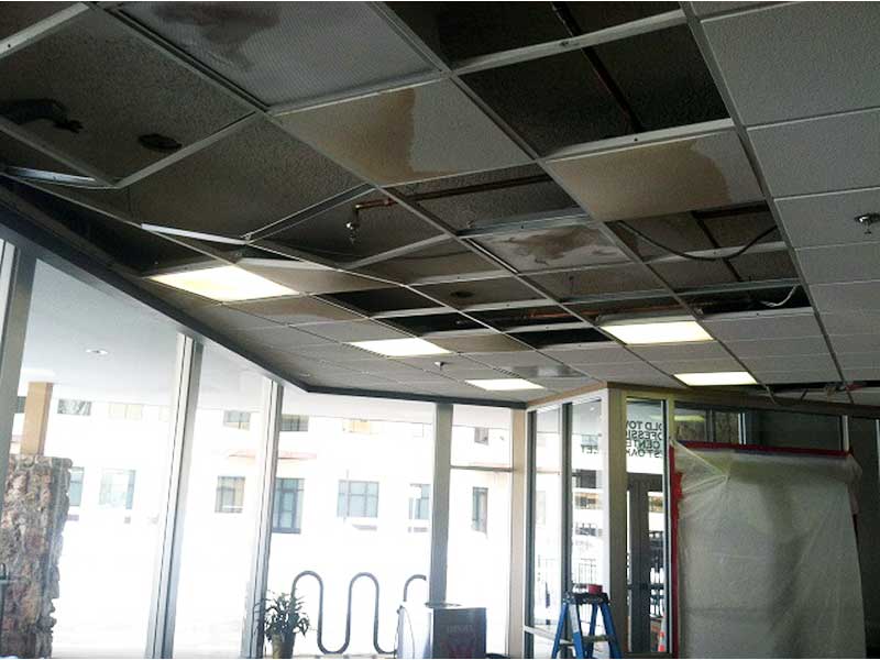 About Project X Restoration Mold Remediation Fire & Smoke Denver