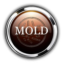 mold removal remediation restoration denver